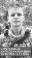 Стрельников Кирилл Николаевич